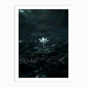 Single Flower In Water 6 Art Print