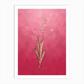 Vintage Ixia Scillaris Botanical in Gold on Viva Magenta n.0099 Art Print