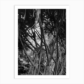 Tectorius plant black art Art Print