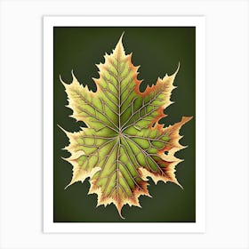 Maple Leaf Vintage Botanical 1 Art Print