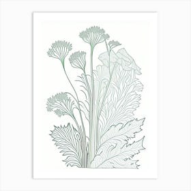 Angelica Herb William Morris Inspired Line Drawing 2 Art Print