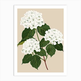 Hydrangea 9 Art Print