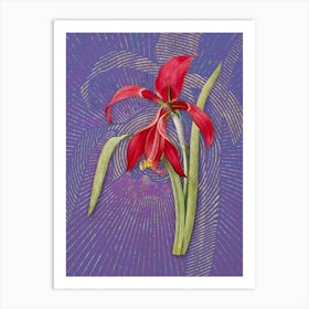 Vintage Amaryllis Botanical Illustration on Veri Peri n.0449 Art Print