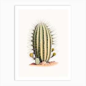 Melocactus Cactus Marker Art 2 Art Print