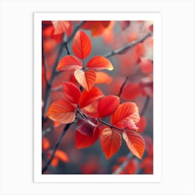 Autumn Leaves 3 Art Print