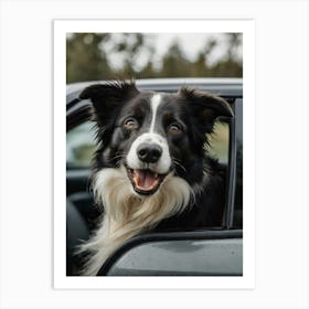 Border Collie In Car Art Print