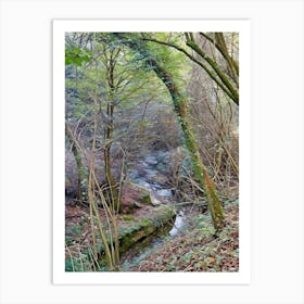 Serene Forest Pathway with Stream in Orobie Alps. This image captures a tranquil forest scene with a small stream flowing through it. The forest is dense with trees, some of which are covered in moss and ivy. The ground is littered with fallen leaves, and the stream is bordered by rocks and vegetation. The overall atmosphere is peaceful and serene, making it a perfect representation of untouched natural beauty 1 Art Print