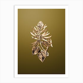 Gold Botanical Naked Flowering Erythrina on Dune Yellow n.1203 Art Print