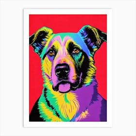 Belgian Tervuren Andy Warhol Style Dog Art Print