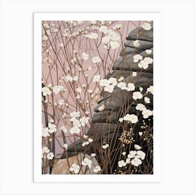 Flower Illustration Gypsophila Babys Breath 6 Art Print