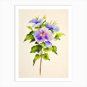 Morning Glory Vintage Flowers Flower Art Print