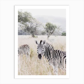 Zebra In Hiding Art Print