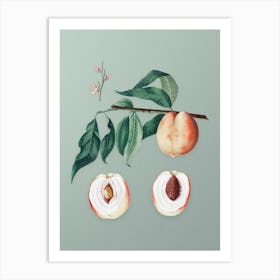 Vintage Peach Botanical Art on Mint Green n.0145 Art Print