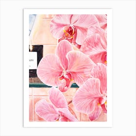 Pink Orchids Art Print