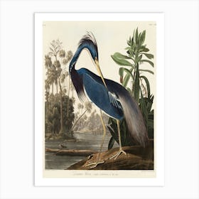 Heron 1 Art Print