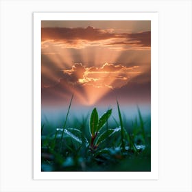 Sunrise Over A Grassy Field Art Print