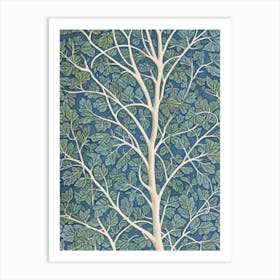 Poplar 2 tree Vintage Botanical Art Print