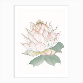 Lotus Flower Pattern Pencil Illustration 4 Art Print