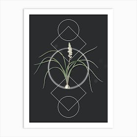 Vintage Lachenalia Angustifolia Botanical with Geometric Line Motif and Dot Pattern n.0246 Art Print