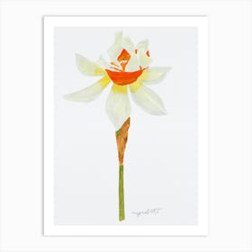 Daffodil 6 Art Print