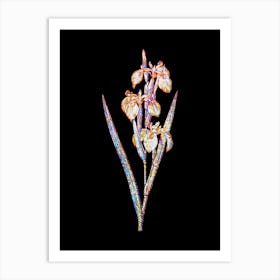 Stained Glass Irises Mosaic Botanical Illustration on Black n.0342 Art Print