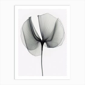 X Ray Flower 3 Art Print