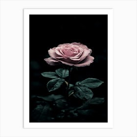 Dark Rose 125 Art Print