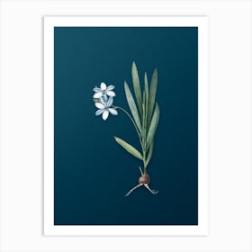Vintage Gladiolus Plicatus Botanical Art on Teal Blue Art Print