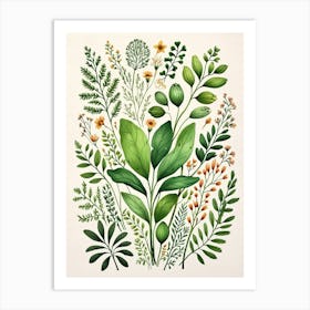 Botanical Print 2 Art Print