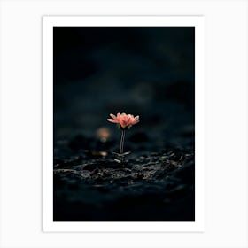 Flower In The Dark 90 Art Print