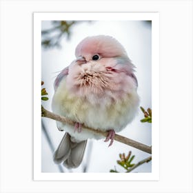 Pink Bird 1 Art Print