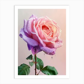 English Roses Painting Rose With Water Droplets 2 Art Print