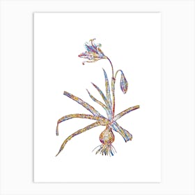 Stained Glass Amaryllis Broussonetii Mosaic Botanical Illustration on White n.0086 Art Print