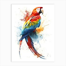 Colorful Parrot Colorful Illustration Art Print