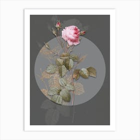 Vintage Botanical Provence Rose on Circle Gray on Gray n.0070 Art Print