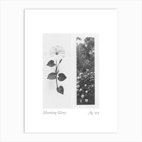 Morning Glory Botanical Collage 1 Art Print