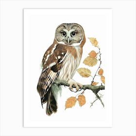 Northern Saw Whet Owl Vintage Illustration 3 Art Print