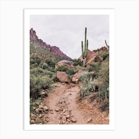 Superstition Desert Trail Art Print