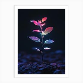 Plant Growing In The Dark 26 Art Print