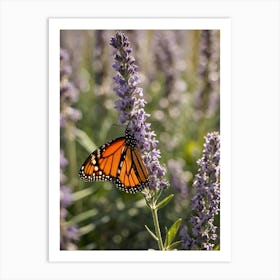 Monarch Butterfly On Lavender 4 Art Print