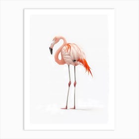 Flamingo bird Art Print