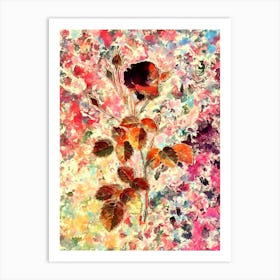 Impressionist Provence Rose Botanical Painting in Blush Pink and Gold n.0028 Art Print