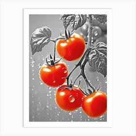 Tomatoes on the tree Art Print