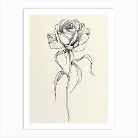English Rose Black And White Line Drawing 22 Art Print