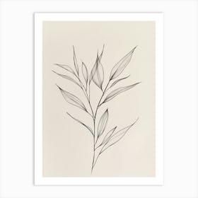 Drawing Of A Leaf 2 Art Print