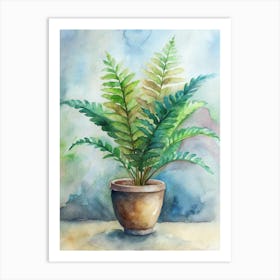 Fern In A Pot 2 Art Print