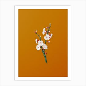 Vintage Apricot Flower Botanical on Sunset Orange Art Print