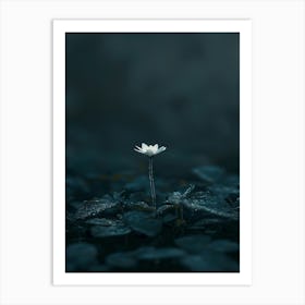 Flower In The Dark 70 Art Print