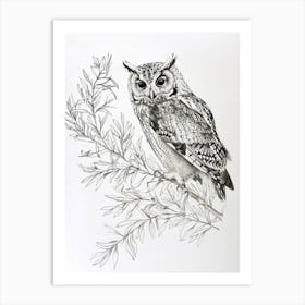Collared Scops Owl Drawing 3 Art Print