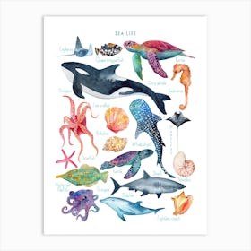 Sea Life Animal Art Print